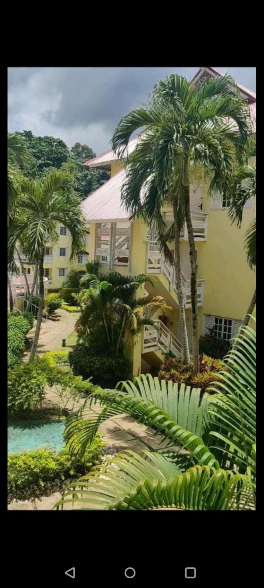 Comfort Zone At The Ridge E17 Appartement Ocho Rios Buitenkant foto